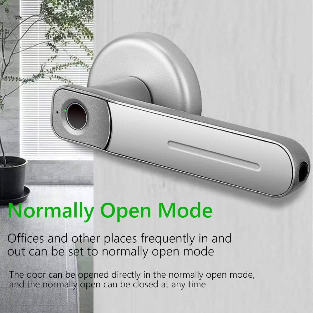 Fingerprint Door Lock Handle